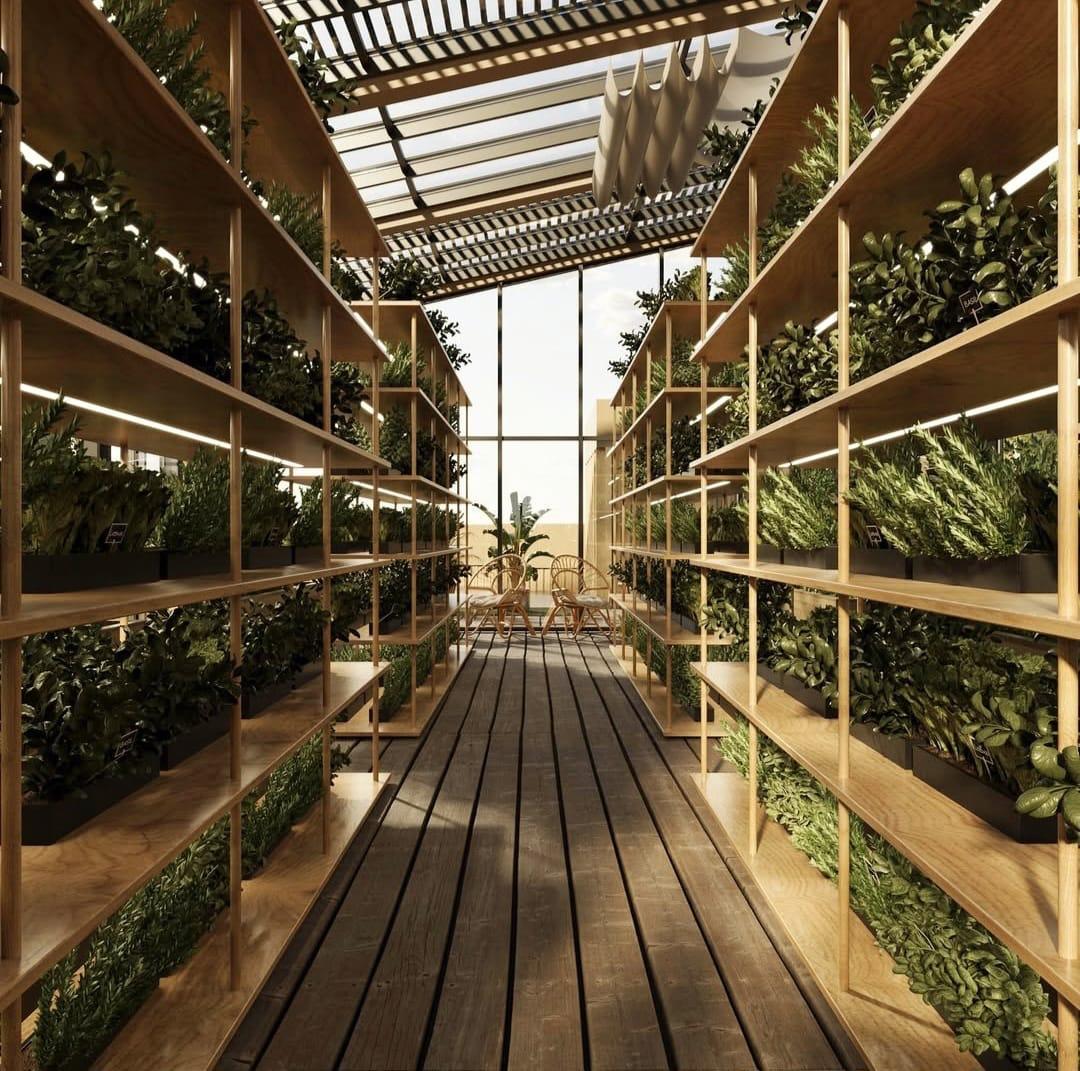 Hydroponic Garden